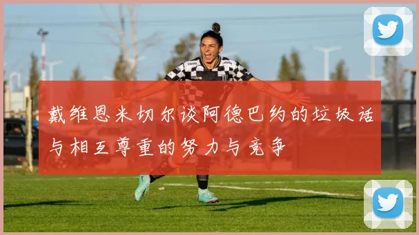 戴维恩米切尔谈阿德巴约的垃圾话与相互尊重的努力与竞争