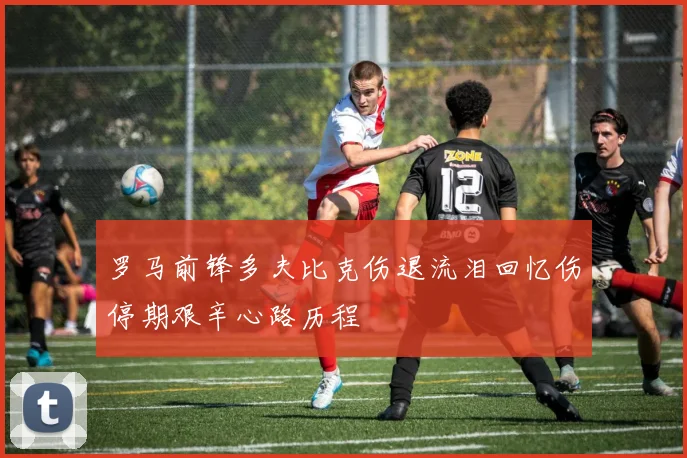罗马前锋多夫比克伤退流泪回忆伤停期艰辛心路历程