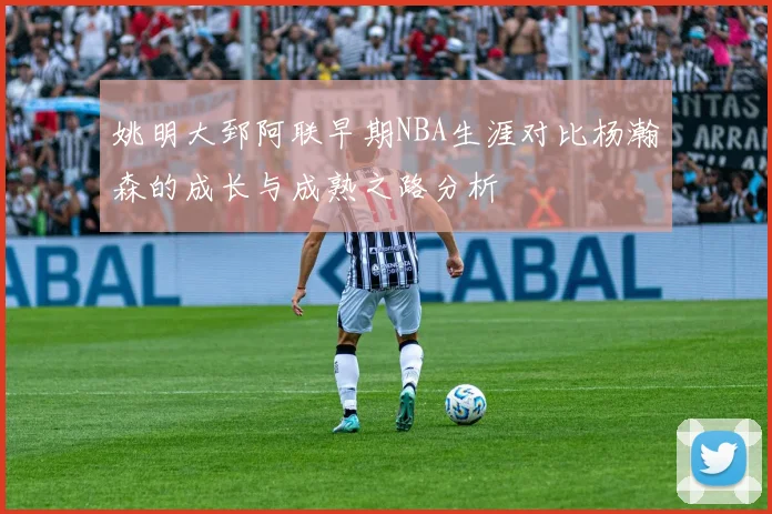 姚明大郅阿联早期NBA生涯对比杨瀚森的成长与成熟之路分析