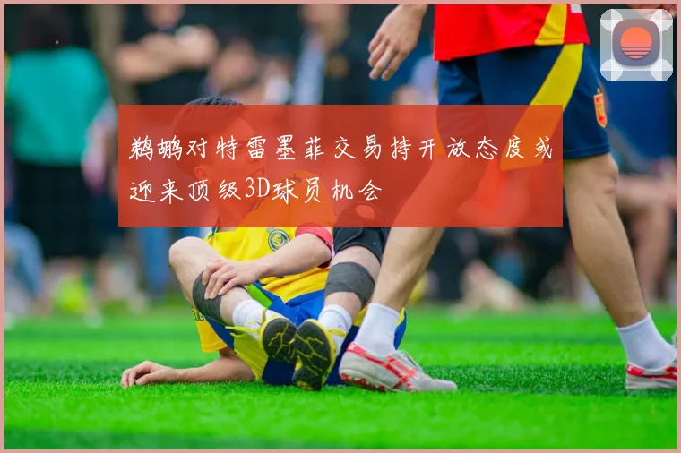 鹈鹕对特雷墨菲交易持开放态度或迎来顶级3D球员机会